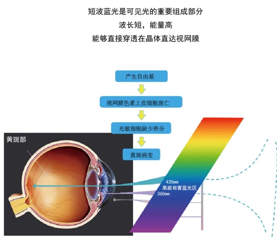 防蓝光近视镜片优缺点（长期佩戴防蓝光近视镜的利弊）