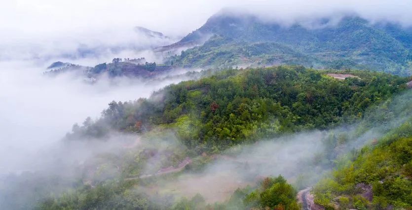 适合情侣一起去的踏青旅行地（国内情侣旅游推荐）