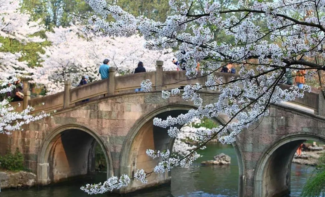 适合情侣一起去的踏青旅行地（国内情侣旅游推荐）