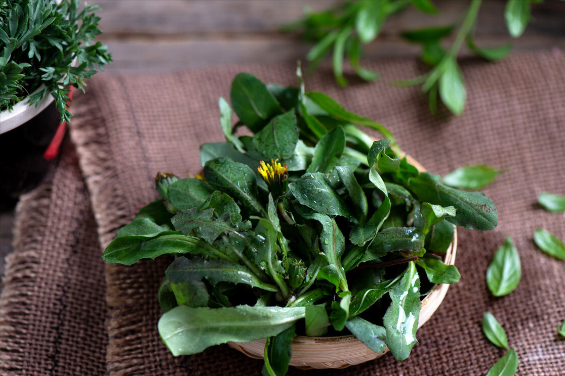 春天常见的野菜有哪些（野菜的做法大全家常）