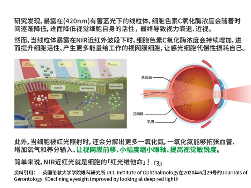 爱德华医生护眼灯值不值得买（学生护眼台灯哪个牌子较好）