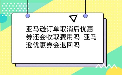 亚马逊订单取消后优惠券还会收取费用吗?亚马逊优惠券会退回吗?插图