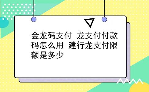 金龙码支付 龙支付付款码怎么用？建行龙支付限额是多少？插图