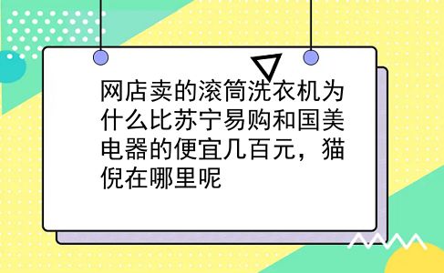 网店卖的滚筒洗衣机为什么比苏宁易购和国美电器的便宜几百元，猫倪在哪里呢?插图