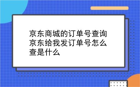 京东商城的订单号查询 京东给我发订单号怎么查是什么？插图