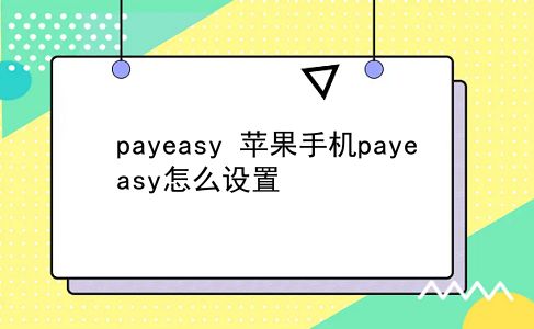 payeasy 苹果手机payeasy怎么设置？插图