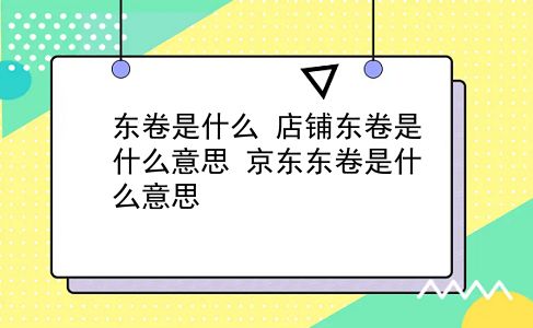 东卷是什么?店铺东卷是什么意思?京东东卷是什么意思?插图