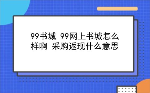 99书城 99网上书城怎么样啊？采购返现什么意思？插图