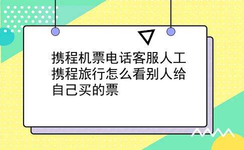 携程机票电话客服人工 携程旅行怎么看别人给自己买的票？插图