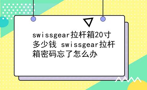 swissgear拉杆箱20寸多少钱 swissgear拉杆箱密码忘了怎么办？插图