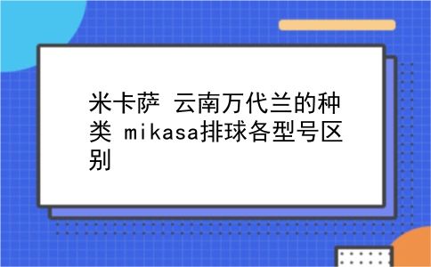 米卡萨 云南万代兰的种类？mikasa排球各型号区别？插图