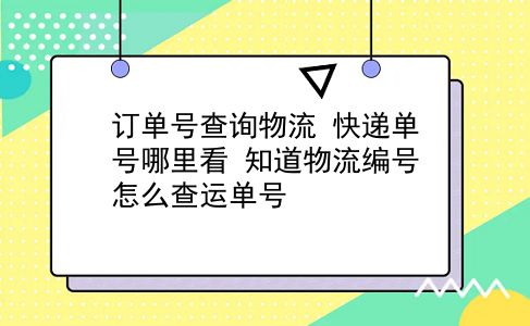 订单号查询物流 快递单号哪里看？知道物流编号怎么查运单号？插图