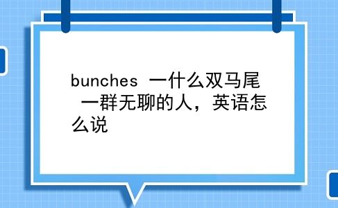 bunches 一什么双马尾？一群无聊的人，英语怎么说？插图