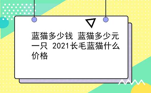 蓝猫多少钱 蓝猫多少元一只？2021长毛蓝猫什么价格？插图