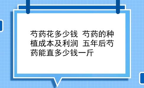 芍药花多少钱 芍药的种植成本及利润？五年后芍药能直多少钱一斤？插图