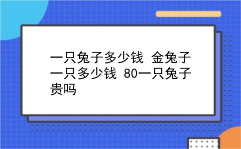 一只兔子多少钱 金兔子一只多少钱？80一只兔子贵吗？插图