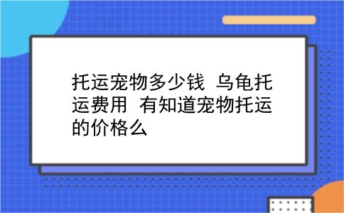 托运宠物多少钱 乌龟托运费用？有知道宠物托运的价格么？插图