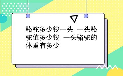 骆驼多少钱一头 一头骆驼值多少钱？一头骆驼的体重有多少？插图