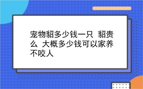 宠物貂多少钱一只 貂贵么？大概多少钱可以家养不咬人？插图