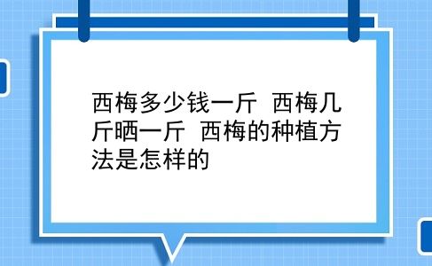 西梅多少钱一斤 西梅几斤晒一斤？西梅的种植方法是怎样的？插图