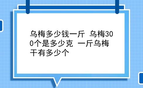 乌梅多少钱一斤 乌梅300个是多少克？一斤乌梅干有多少个？插图