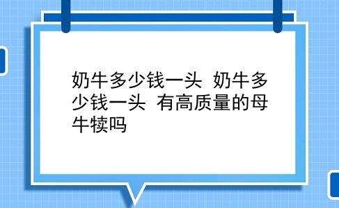 奶牛多少钱一头 奶牛多少钱一头？有高质量的母牛犊吗？插图