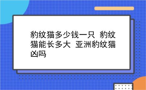 豹纹猫多少钱一只 豹纹猫能长多大？亚洲豹纹猫凶吗？插图