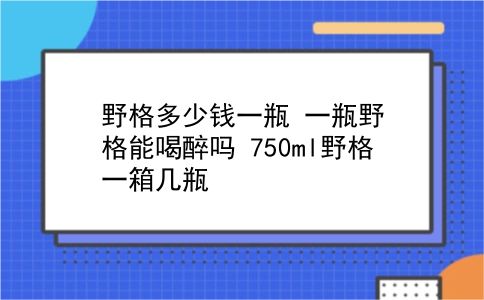 野格多少钱一瓶 一瓶野格能喝醉吗？750ml野格一箱几瓶？插图