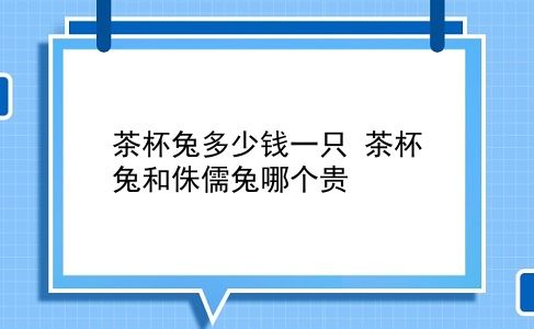 茶杯兔多少钱一只 茶杯兔和侏儒兔哪个贵？插图