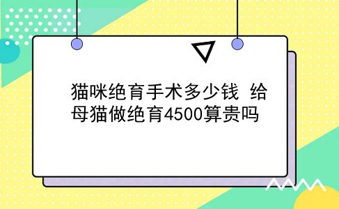 猫咪绝育手术多少钱 给母猫做绝育4500算贵吗？插图