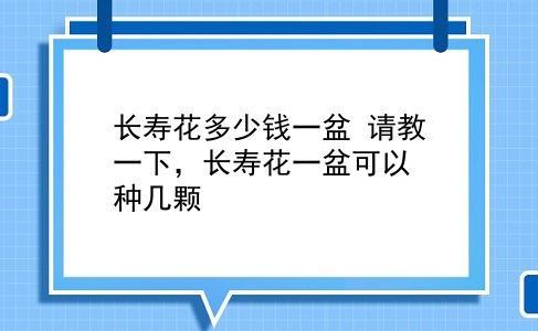 长寿花多少钱一盆 请教一下，长寿花一盆可以种几颗？插图