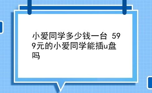 小爱同学多少钱一台 599元的小爱同学能插u盘吗？插图