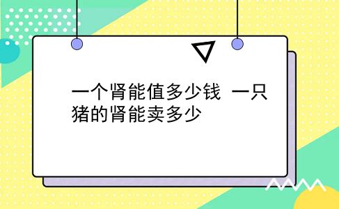 一个肾能值多少钱 一只猪的肾能卖多少？插图