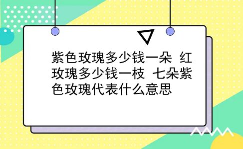 紫色玫瑰多少钱一朵 红玫瑰多少钱一枝？七朵紫色玫瑰代表什么意思？插图