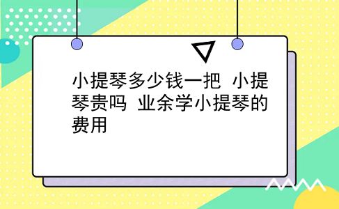 小提琴多少钱一把 小提琴贵吗？业余学小提琴的费用？插图