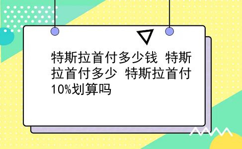 特斯拉首付多少钱 特斯拉首付多少？特斯拉首付10%划算吗？插图