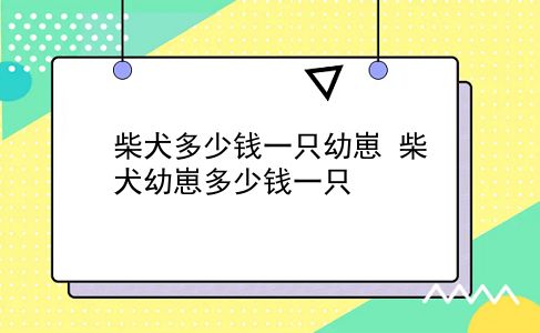 柴犬多少钱一只幼崽 柴犬幼崽多少钱一只？插图