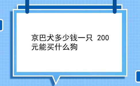 京巴犬多少钱一只 200元能买什么狗？插图