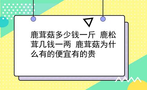 鹿茸菇多少钱一斤 鹿松茸几钱一两？鹿茸菇为什么有的便宜有的贵？插图