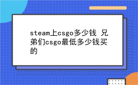 steam上csgo多少钱 兄弟们csgo最低多少钱买的？插图