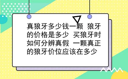 真狼牙多少钱一颗 狼牙的价格是多少？买狼牙时如何分辨真假？一颗真正的狼牙价位应该在多少？插图