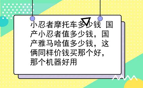 小忍者摩托车多少钱 国产小忍者值多少钱，国产雅马哈值多少钱，这俩同样价钱买那个好，那个机器好用？插图