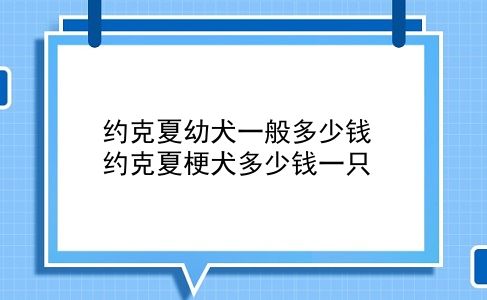 约克夏幼犬一般多少钱 约克夏梗犬多少钱一只？插图