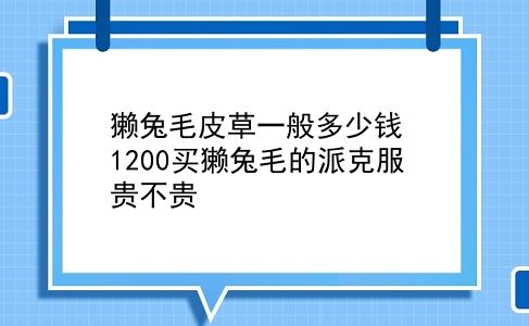 獭兔毛皮草一般多少钱 1200买獭兔毛的派克服贵不贵？插图