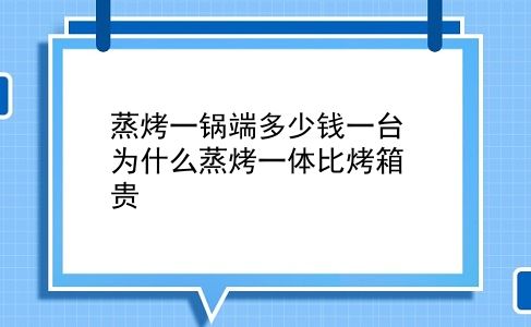 蒸烤一锅端多少钱一台 为什么蒸烤一体比烤箱贵？插图