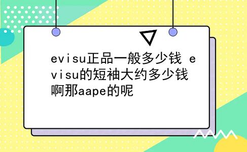 evisu正品一般多少钱 evisu的短袖大约多少钱啊那aape的呢？插图