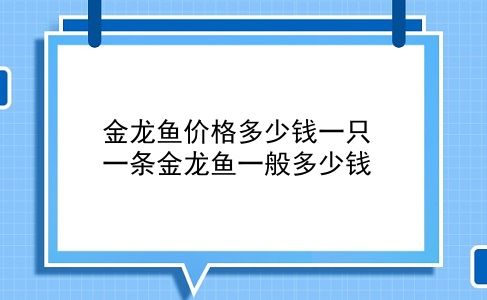 金龙鱼价格多少钱一只 一条金龙鱼一般多少钱？插图