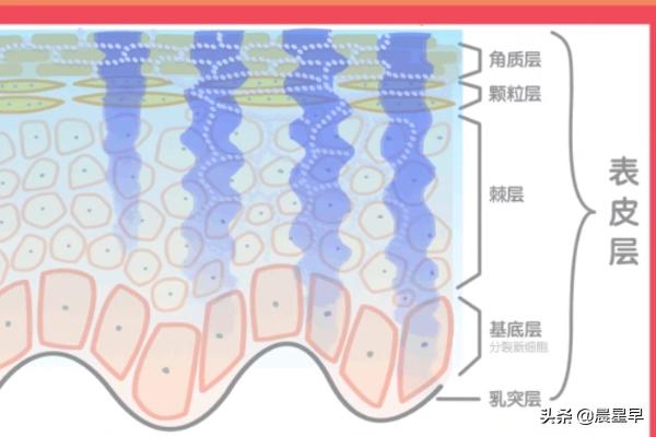 果木肌保湿套装多少钱 果木肌密护肤品学生能用吗？