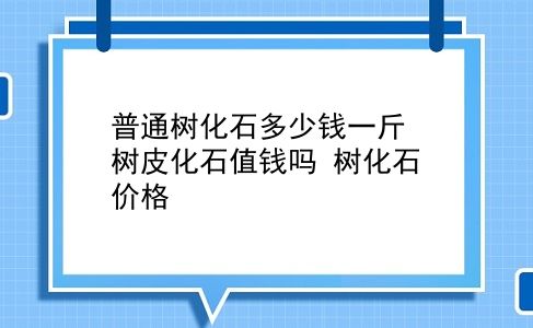 普通树化石多少钱一斤 树皮化石值钱吗？树化石价格？插图