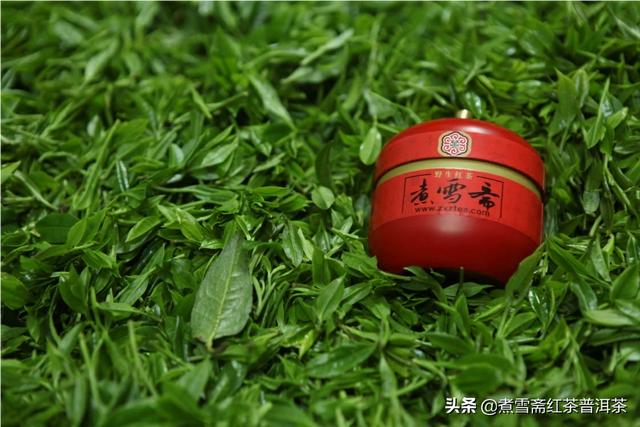 什么红茶较好 什么红茶品质较好？哪种红茶好喝味道香？